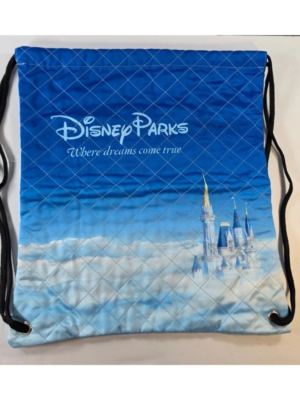 DISNEY PARKS STRING BAG CINCH SACK BACKPACK WHERE DREAMS COME TRUE MILLION